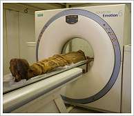 ©St. Luke’s Hospital Foundation - Mummy in a computer tomograph