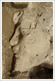Alabaster head of Amenhotep III - © MSA