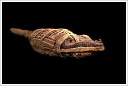 Crocodile mummy - ©Richard Barnes