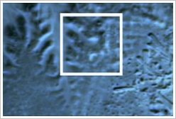 The infra-red satellite image shows a buried pyramid, located in the centre of the highlight box