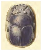 Recovered Heart Scarab of Yuya(image undocumented)
