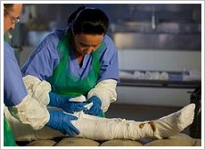 Egyptian Mummification in the 21st Century ©AFP, Getty Images