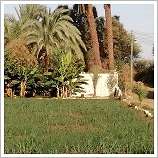 Building Land in El-Aqalta, Luxor West Bank